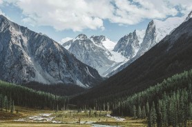有人把链接私信给我，一起草 ｜ 17c - 关于一起草入口的说法 ｜ 越往下越离谱？！真假自辨，我只摆证据