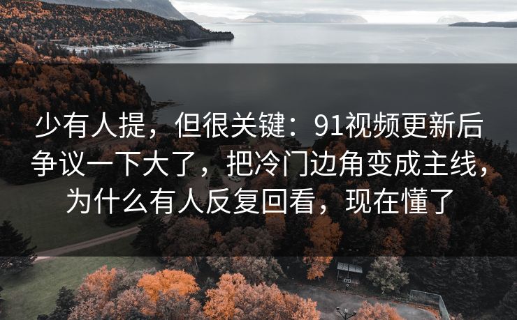 少有人提，但很关键：91视频更新后争议一下大了，把冷门边角变成主线，为什么有人反复回看，现在懂了